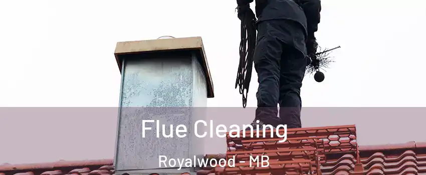  Flue Cleaning Royalwood - MB