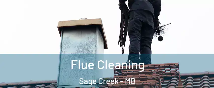  Flue Cleaning Sage Creek - MB