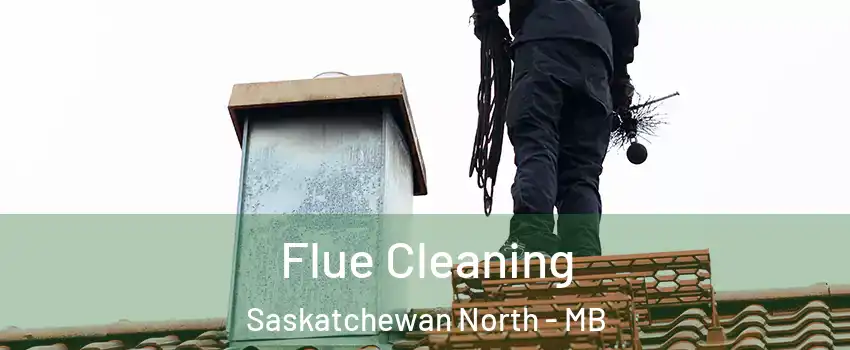  Flue Cleaning Saskatchewan North - MB
