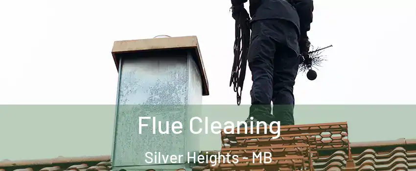  Flue Cleaning Silver Heights - MB
