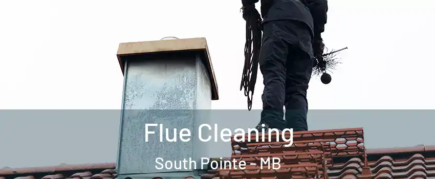  Flue Cleaning South Pointe - MB