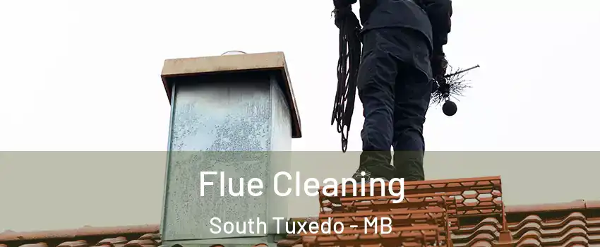  Flue Cleaning South Tuxedo - MB