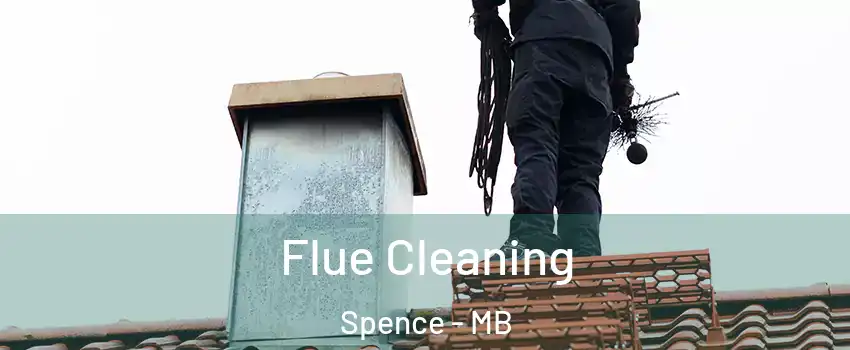  Flue Cleaning Spence - MB