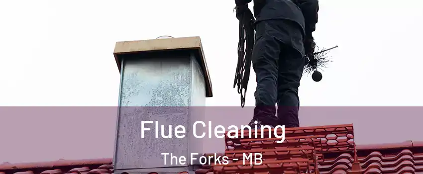  Flue Cleaning The Forks - MB