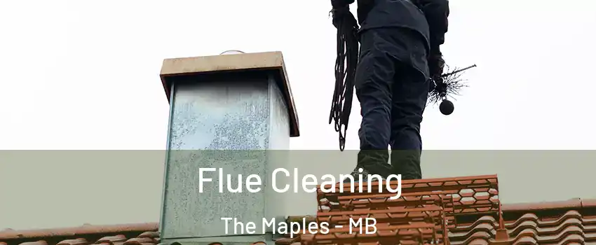  Flue Cleaning The Maples - MB