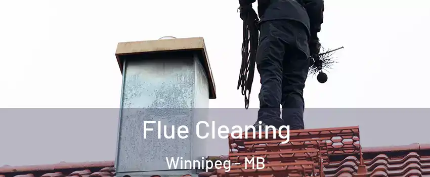  Flue Cleaning Winnipeg - MB