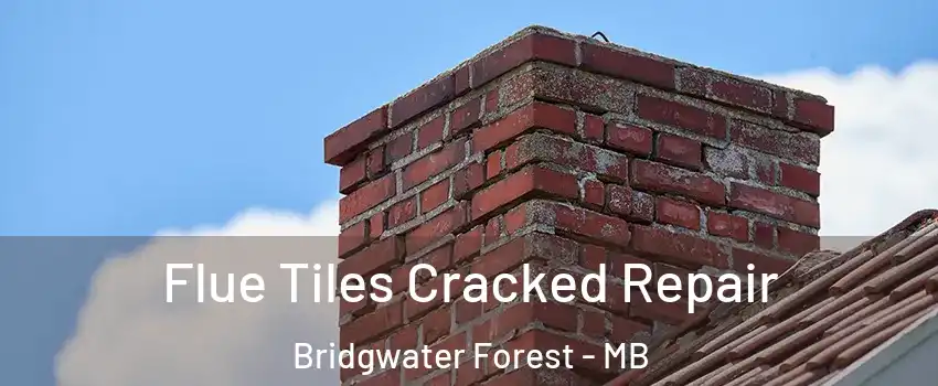  Flue Tiles Cracked Repair Bridgwater Forest - MB