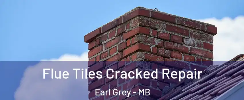  Flue Tiles Cracked Repair Earl Grey - MB
