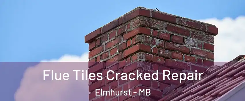  Flue Tiles Cracked Repair Elmhurst - MB