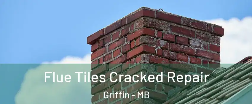 Flue Tiles Cracked Repair Griffin - MB