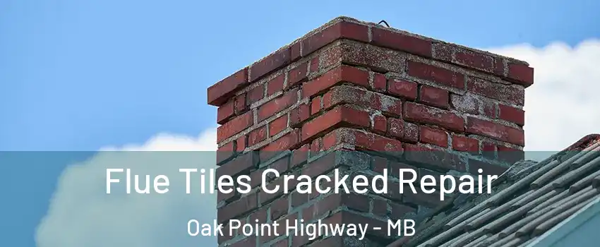  Flue Tiles Cracked Repair Oak Point Highway - MB
