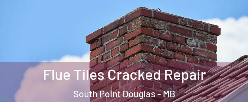 Flue Tiles Cracked Repair South Point Douglas - MB