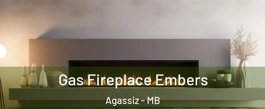  Gas Fireplace Embers Agassiz - MB