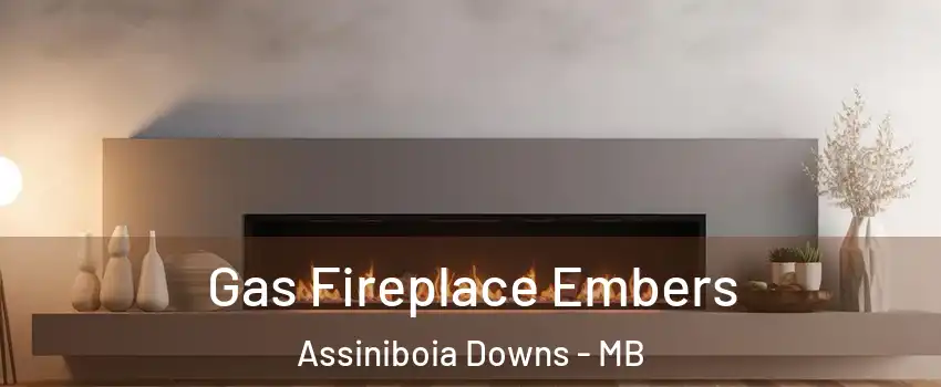  Gas Fireplace Embers Assiniboia Downs - MB