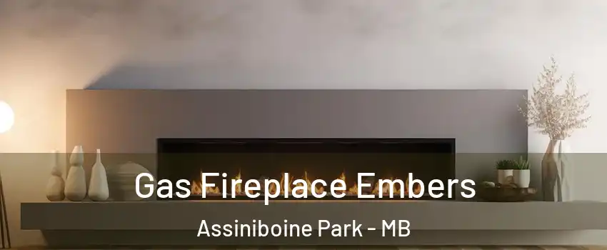  Gas Fireplace Embers Assiniboine Park - MB