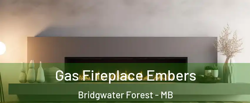  Gas Fireplace Embers Bridgwater Forest - MB