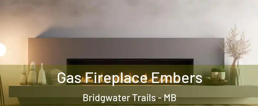  Gas Fireplace Embers Bridgwater Trails - MB