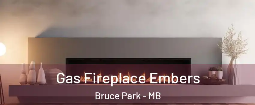  Gas Fireplace Embers Bruce Park - MB
