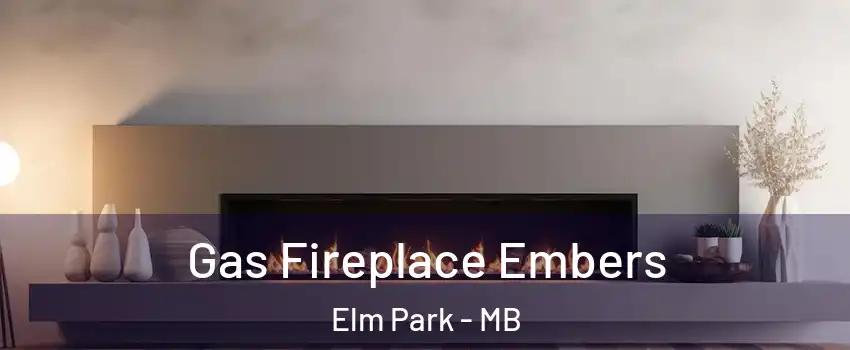  Gas Fireplace Embers Elm Park - MB