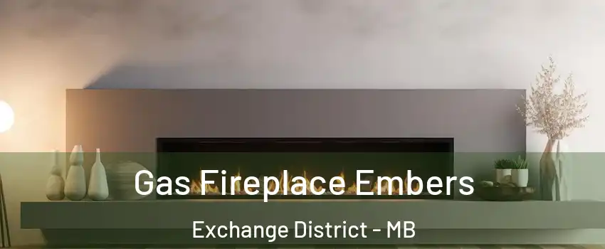  Gas Fireplace Embers Exchange District - MB