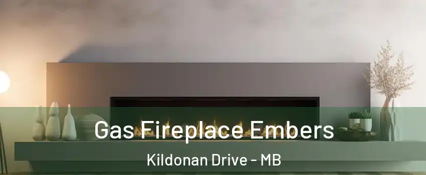  Gas Fireplace Embers Kildonan Drive - MB