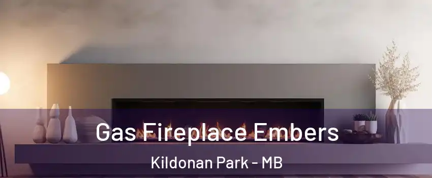  Gas Fireplace Embers Kildonan Park - MB