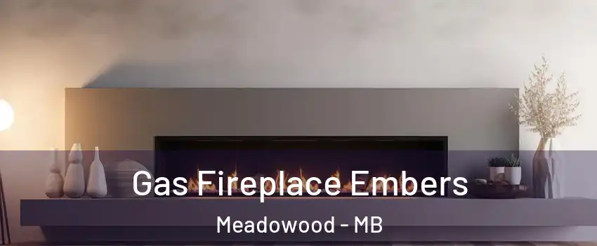  Gas Fireplace Embers Meadowood - MB