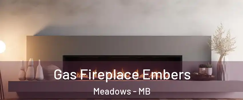  Gas Fireplace Embers Meadows - MB