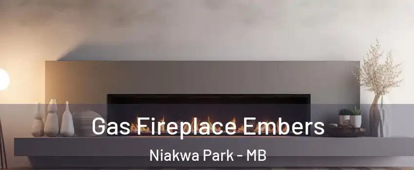  Gas Fireplace Embers Niakwa Park - MB