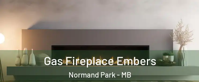  Gas Fireplace Embers Normand Park - MB