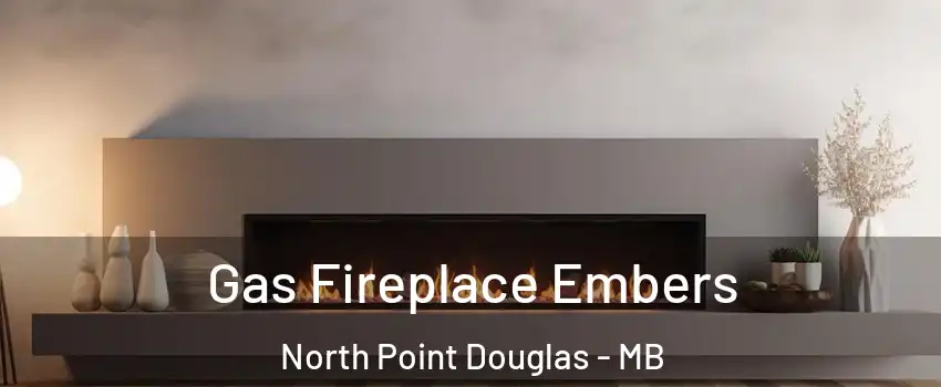  Gas Fireplace Embers North Point Douglas - MB