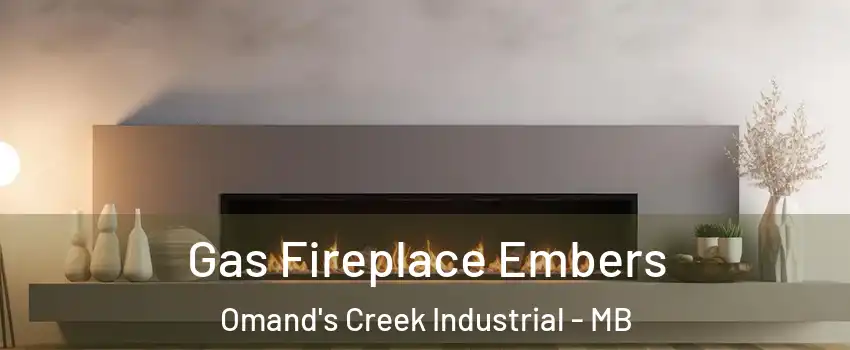  Gas Fireplace Embers Omand's Creek Industrial - MB