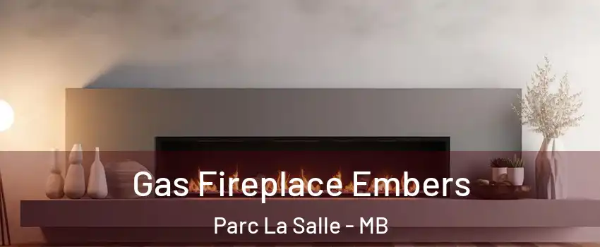  Gas Fireplace Embers Parc La Salle - MB