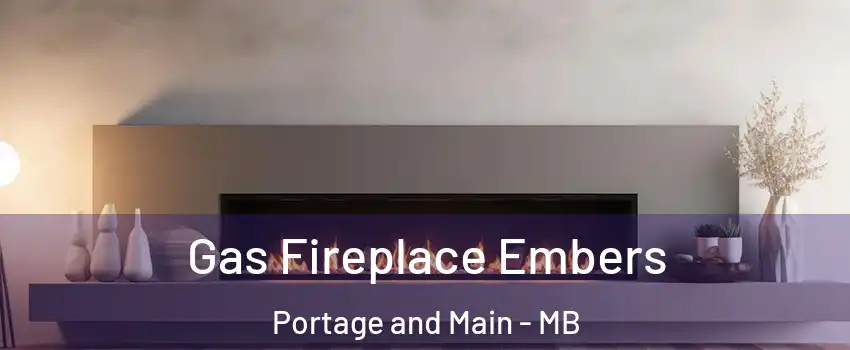  Gas Fireplace Embers Portage and Main - MB