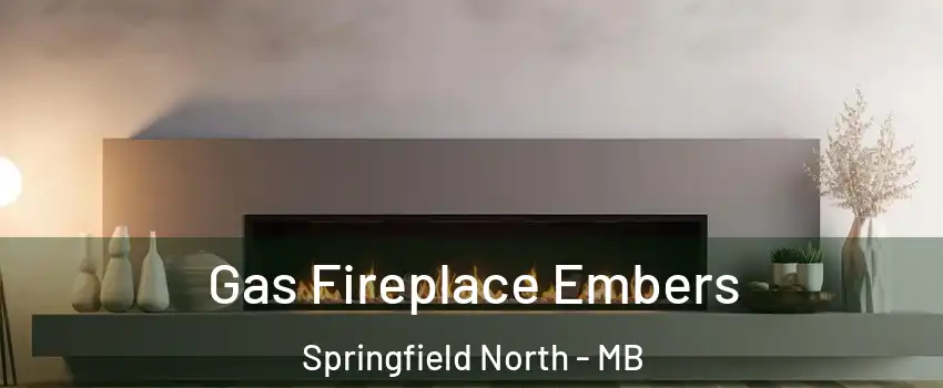  Gas Fireplace Embers Springfield North - MB