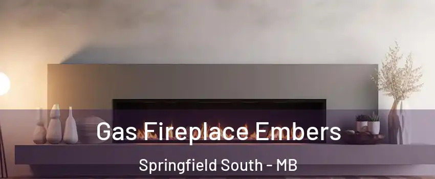  Gas Fireplace Embers Springfield South - MB