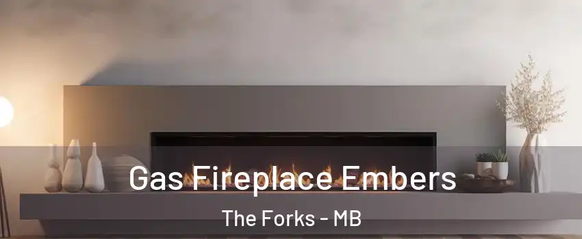  Gas Fireplace Embers The Forks - MB