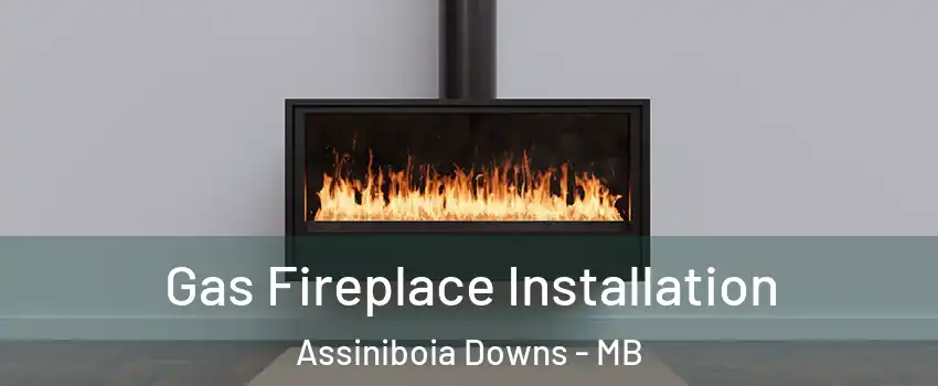  Gas Fireplace Installation Assiniboia Downs - MB