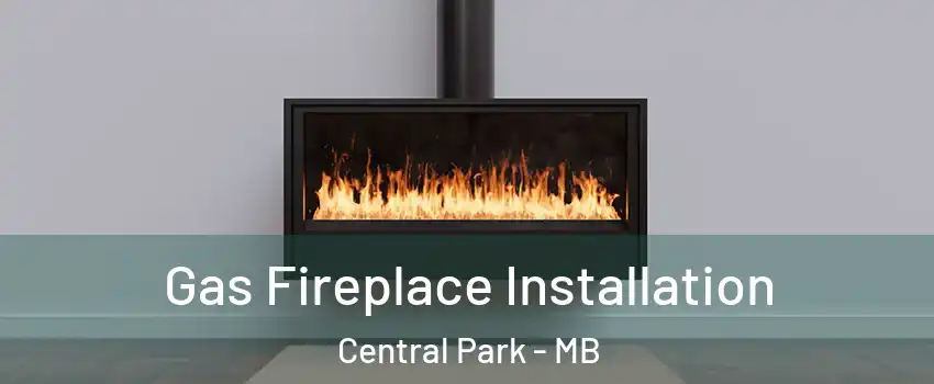  Gas Fireplace Installation Central Park - MB