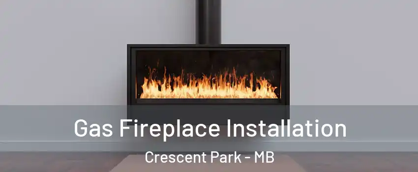  Gas Fireplace Installation Crescent Park - MB