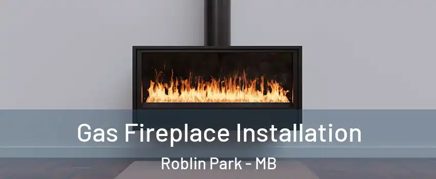  Gas Fireplace Installation Roblin Park - MB