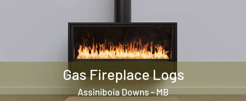  Gas Fireplace Logs Assiniboia Downs - MB