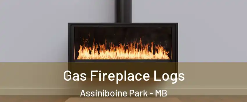  Gas Fireplace Logs Assiniboine Park - MB