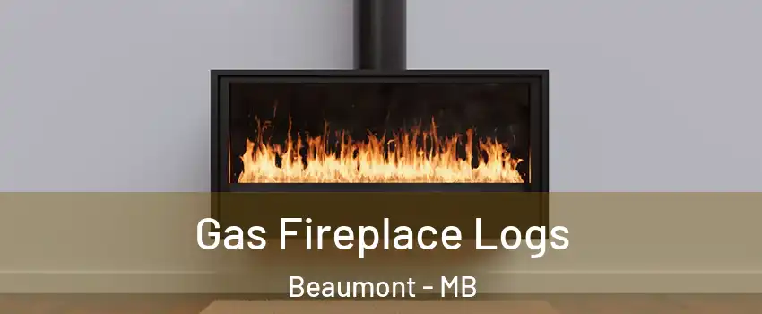  Gas Fireplace Logs Beaumont - MB