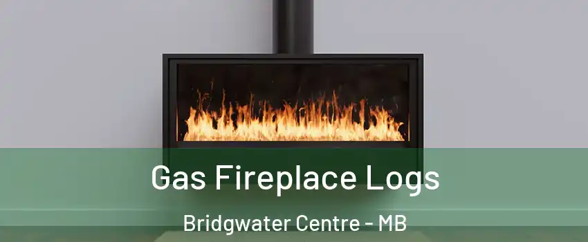  Gas Fireplace Logs Bridgwater Centre - MB