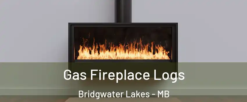  Gas Fireplace Logs Bridgwater Lakes - MB