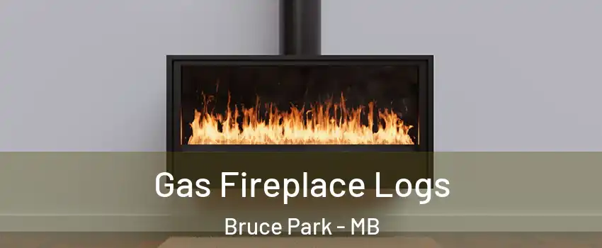  Gas Fireplace Logs Bruce Park - MB