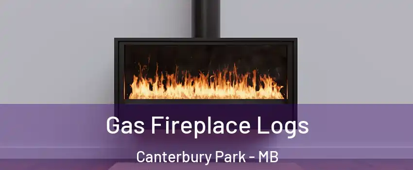  Gas Fireplace Logs Canterbury Park - MB