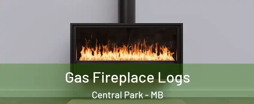  Gas Fireplace Logs Central Park - MB