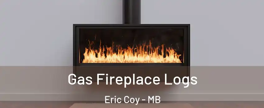  Gas Fireplace Logs Eric Coy - MB